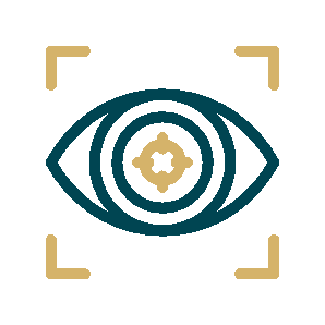 Vision Icon